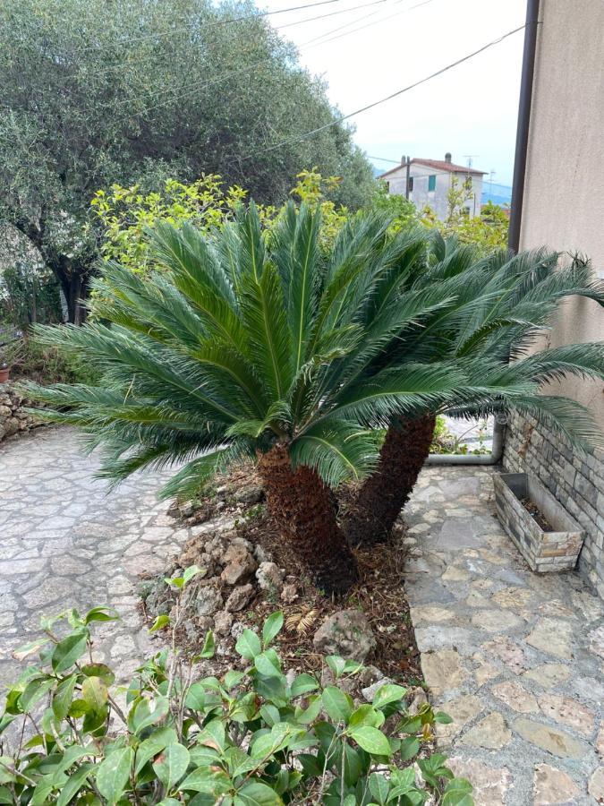 Appartamento Il giardino delle Cycas Romito Magra Esterno foto